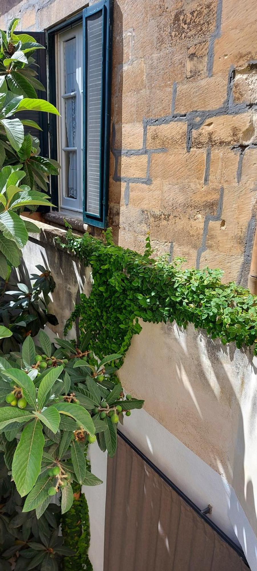 Bed and Breakfast Massa House Lecce Zimmer foto